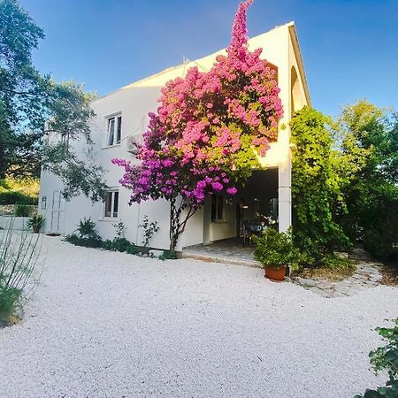 Olive Garden Apartments Poljica  Dış mekan fotoğraf