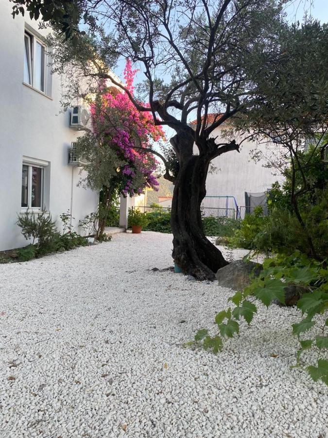 Olive Garden Apartments Poljica  Dış mekan fotoğraf
